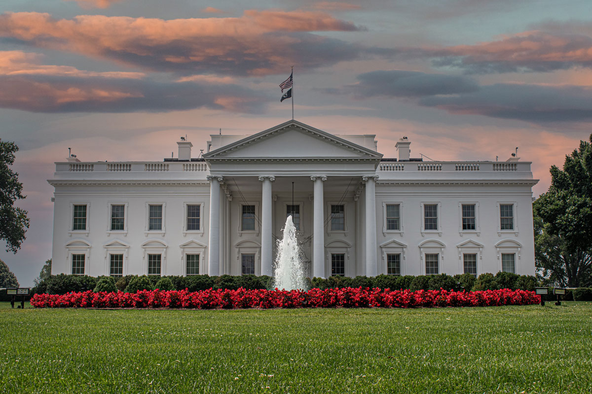 2024 Presidential Election Key Differences in Tax Strategies