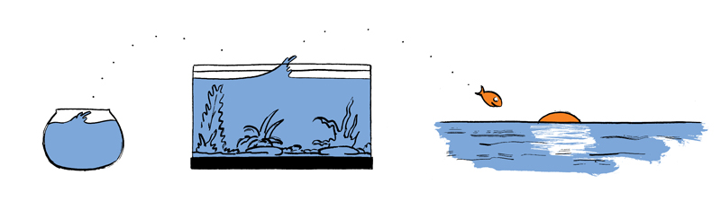 Single family office vs. multi-family office